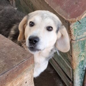 Connor *ca. 2020/2021