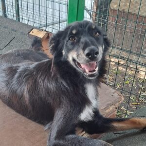 Josefine *ca. 09.2024