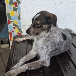 Chrissi *ca. 05/2024