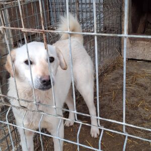 Heidi *ca. 03/2025