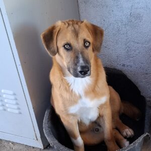 Günter * ca. 03/2025