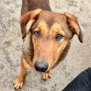 Diamond *ca. 06/2025