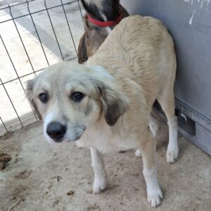 Estelle *ca. 04/2025