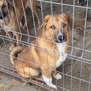 Günter * ca. 03/2025