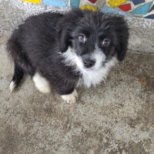 Nils-Oliver *ca. 8/25