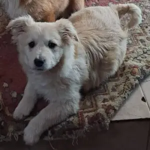 Arielle *ca. 11/2025