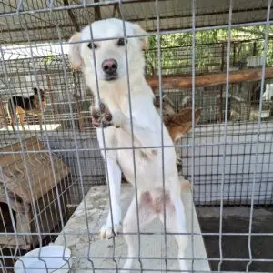 Heidi *ca. 03/2025