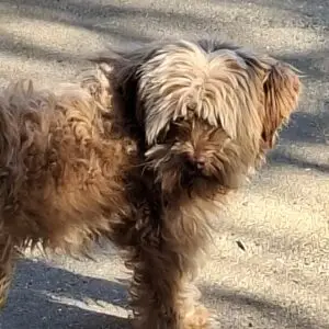Bonnie 1 *ca. 5/2024