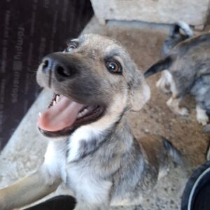Maggie *ca. 6/2026